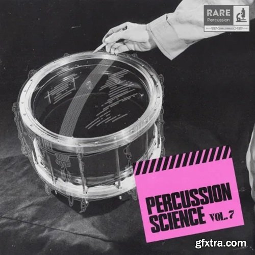 RARE Percussion Percussion Science Vol 7 WAV