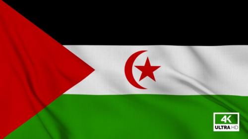 Videohive - Western Sahara Flag Waving Slowly Looped - 36974041