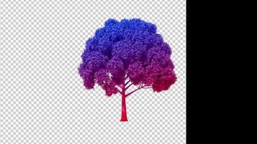 Videohive - Colorful Growing Tree - 36975039