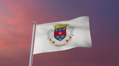 Videohive - Flag Of Saint Barthelemy Waving 4k - 37113023