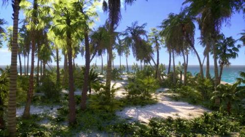 Videohive - Palm Beach In Tropical Idyllic Paradise Island - 37158503