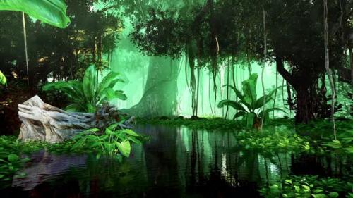 Videohive - Jungle and environment - 37117281