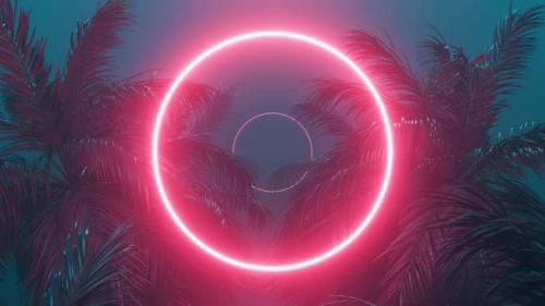 Videohive - Retrowave Glowing Circle Frame Appears in the Tropical Palm Tree Looped Animation - 37052629