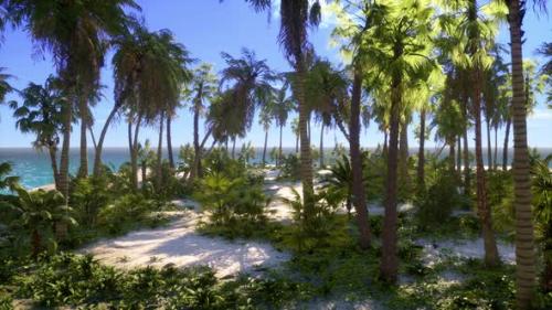 Videohive - Tropical Beach with White Sand Turquoise Water and Palm Trees - 37188250