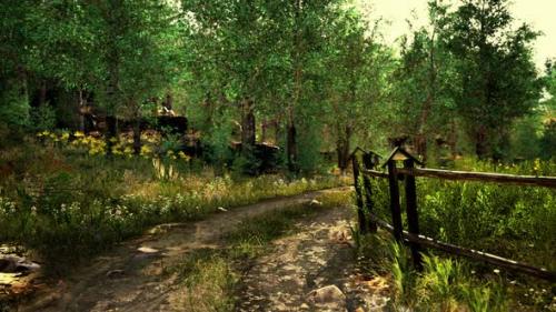 Videohive - Old Wooden Fence and Dirt Road in the Countryside at Summer Season - 37154420