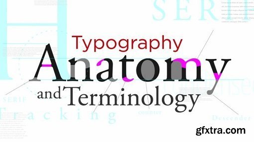 Typography Anatomy and Terminology