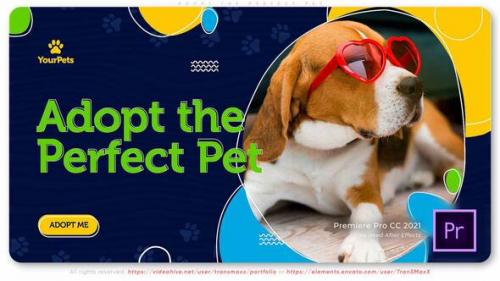 Videohive - Adopt the Perfect Pet - 37397475
