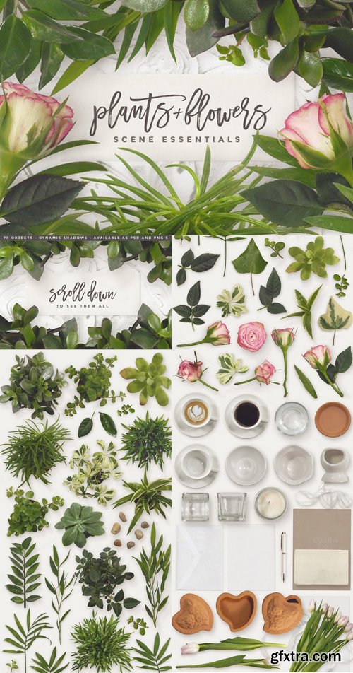 Essential Plants & Flowers!