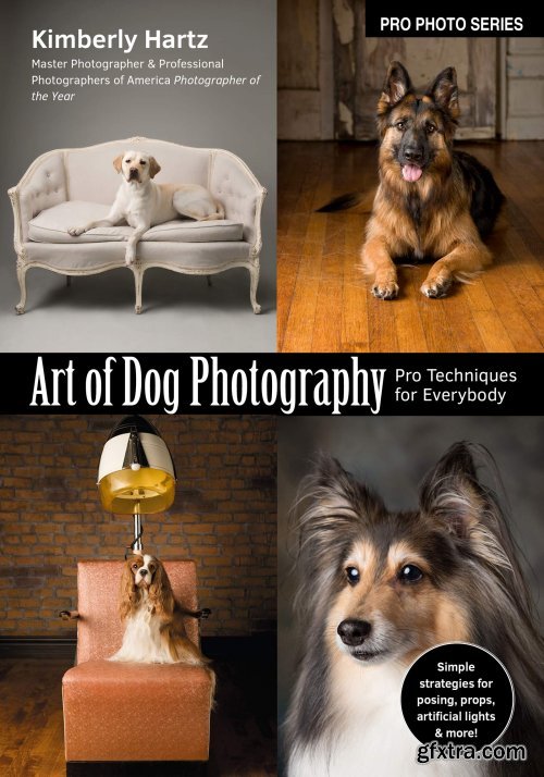 Art of Dog Photography: Pro Techniques for Everybody