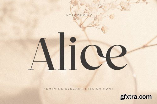 Alice - Feminine Elegant Stylish Font