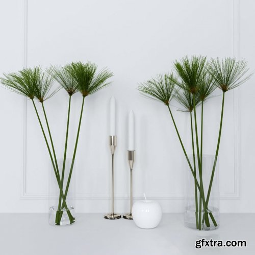 Shoots of papyrus in a glass vase