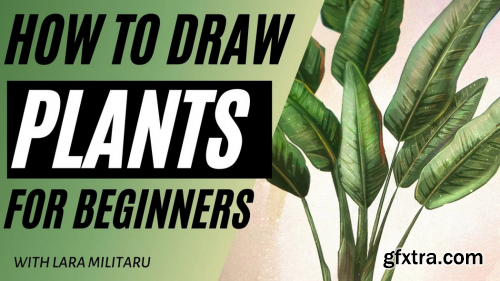 How to Draw Plants for Beginners (Procreate)