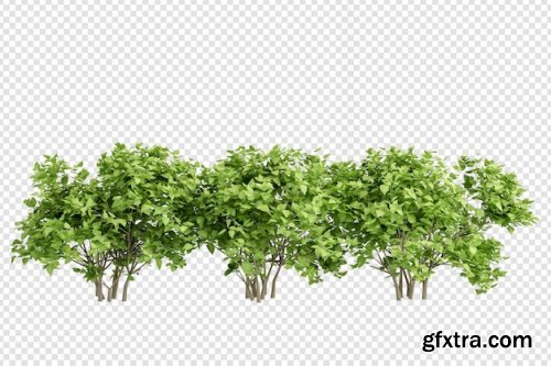 Plant in 3d rendering isolated Premium Psd