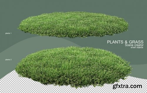3d rendering various types of bush PSD