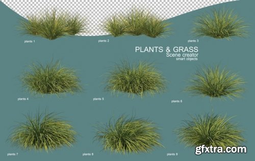 3d rendering of grass and shrub psd