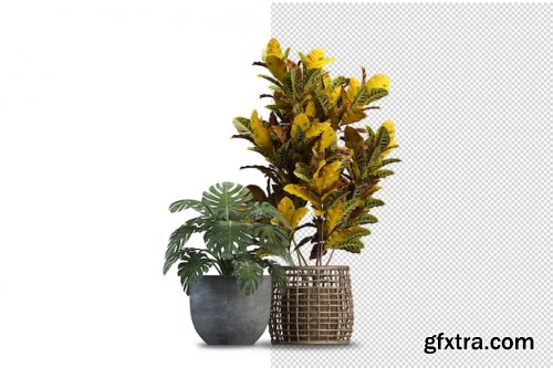 Render of isolated plant 03 Premium Psd