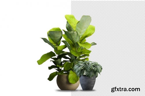 Render of isolated plant 04 Premium Psd