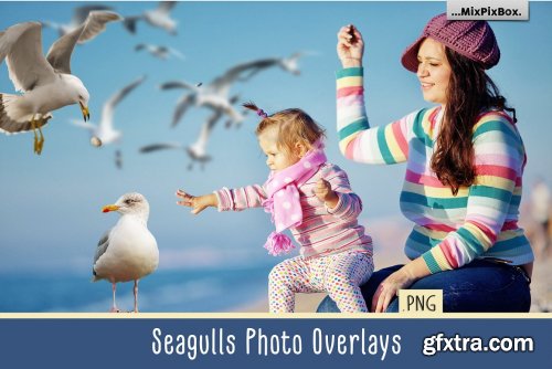 CreativeMarket - Seagulls Overlays 4085794