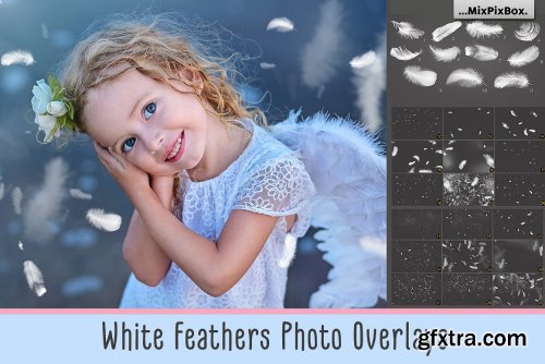 CreativeMarket - White Feathers Overlays 2982738