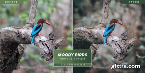 Editable photo preset for bird photography