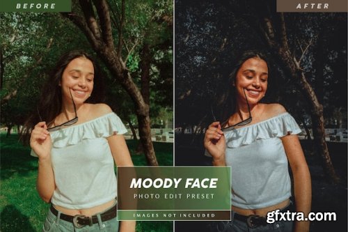 Editable portrait moody face preset for instagram pictures