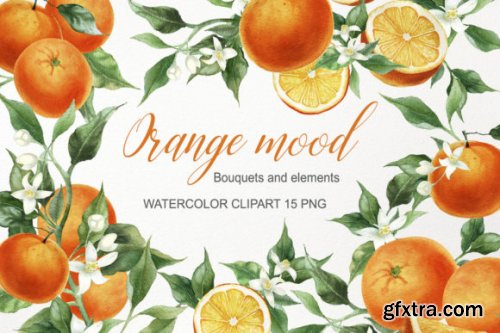Watercolor Orange Fruit Clipart PNG