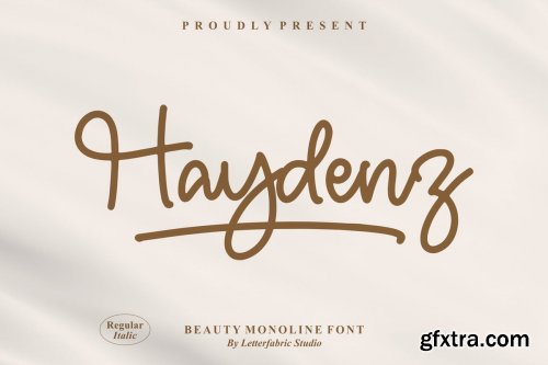 Haydenz Monoline Font