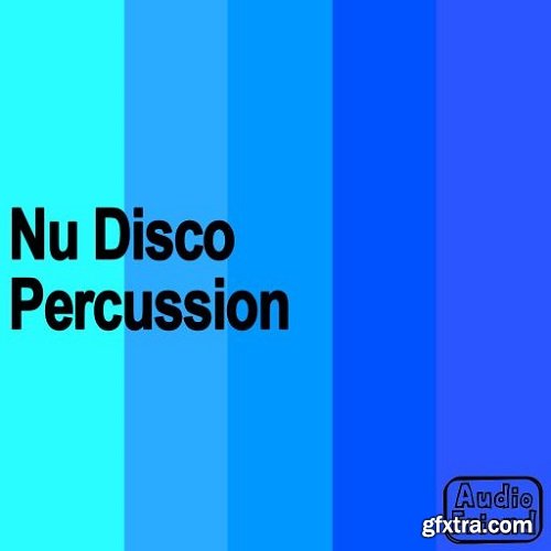 AudioFriend Nu Disco Percussion WAV
