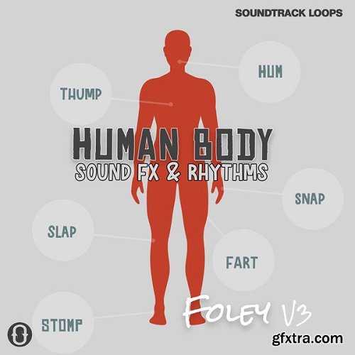 Soundtrack Loops Foley V3 Human Body Sound Effects & Rhythms WAV