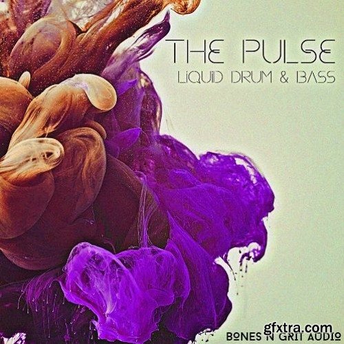 Bones N Grit Audio The Pulse Liquid Drum and Bass WAV