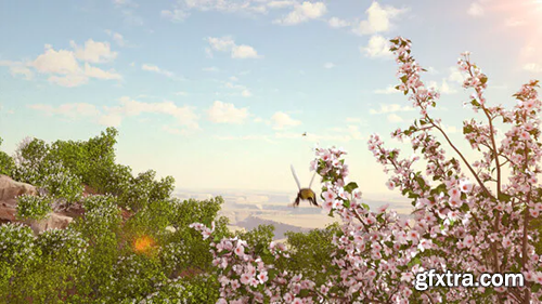 Videohive Spring Forest Nature Logo 31875173