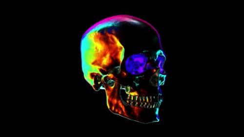 Videohive - Metallic Human Skull with Rainbow Reflections Looped Animation - 37914633