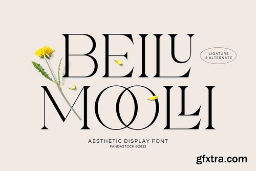 Beilu Mooli - Modern Retro Fonts