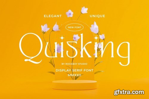 Quisking - Display Serif Font