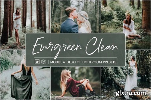 NesPresets - Evergreen Clean
