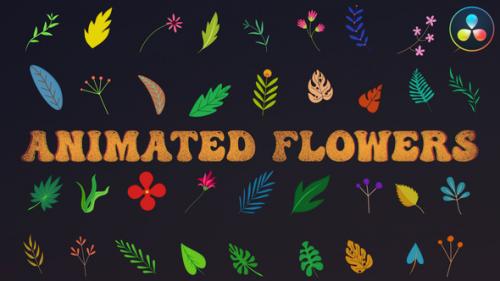 Videohive - Animated Flowers for DaVinci Resolve - 37564769