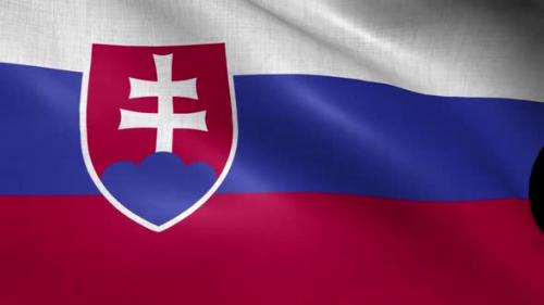 Videohive - Slovakia Flag - 37988000