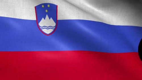Videohive - Slovenia Flag - 37988009