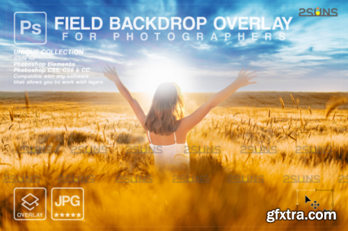 Digital Field Backdrop Ukraine Overlay