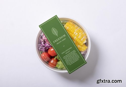 Takeaway food container box mockup