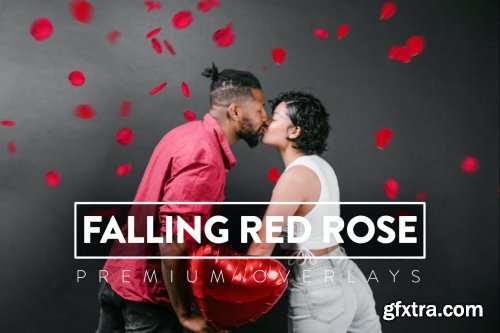 30 Falling Red Rose Overlay