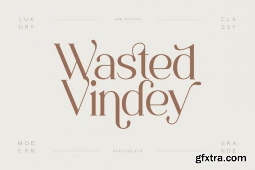 Wasted Vindey Font