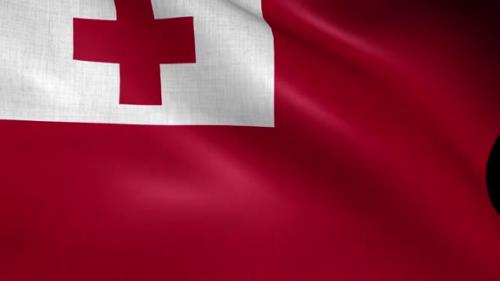 Videohive - Tonga Flag - 38043301