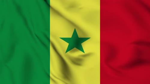 Videohive - Senegal flag seamless closeup waving animation - 38115714