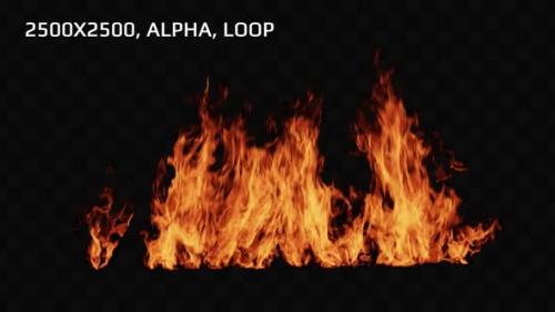 Videohive - Rw Vfx Fire 9 - 2500x2500, Alpha, Loop - 38117929