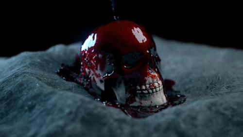 Videohive - Blood poured on Skull - 26491394