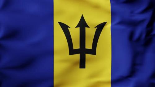 Videohive - 3D Animation Flag Waving in Slow Motion Fill Frame Barbados - 38135823