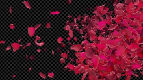 Videohive - Red Rose Petals Flying By Right To Left Transition - 38286390