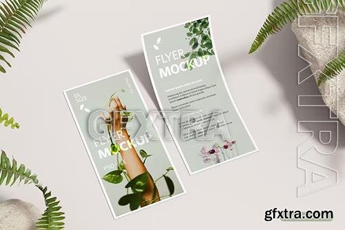 DL Flyer with Plants - Realistic Mockup 8BBA23C