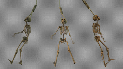 Videohive - Three Skeleton hanging in Gallows Rope - 38347271
